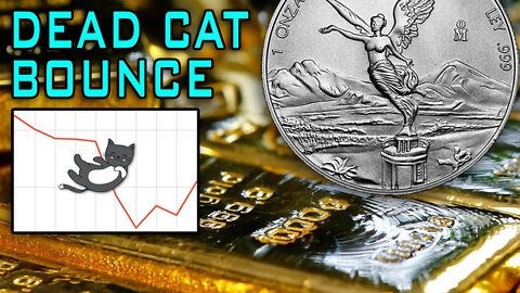 Silver & Gold In A Dead Cat Bounce With Higher Lows