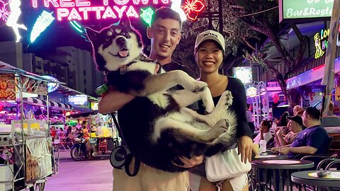 PATTAYA Girl Takes Me & My Husky on a WILD Night Out 🇹🇭 (MUST-SEE Pattaya Nightlife!)