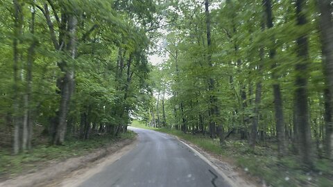 Tunnel of trees