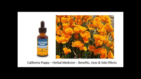 California Poppy Herbal Medicine Benefits, Uses & Side Effects