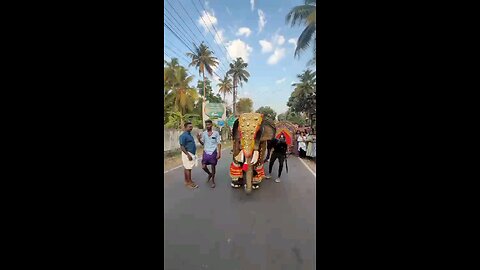 Elephant Dance