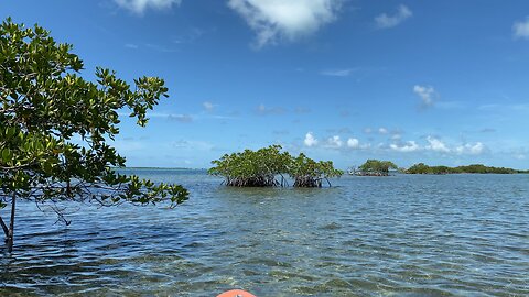 Kayaking the Florida Keys