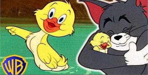 Tom & Jerry | Best of Little Quacker | Classic Cartoon Compilation