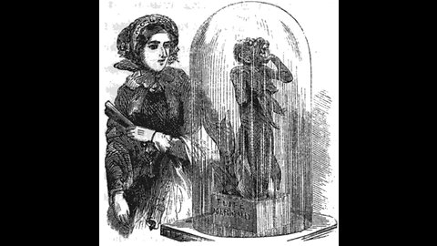 PT Barnum's FeeJee Mermaid