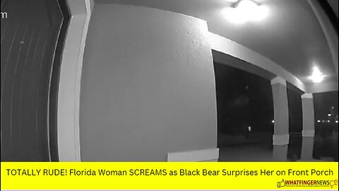 TOTALLY RUDE! Florida Woman SCREAMS as Black Bear Surprises Her on Front Porch