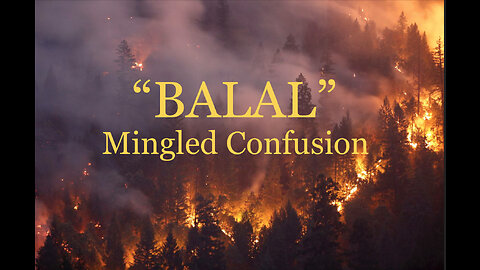 BALAL "Mingled Confusion"