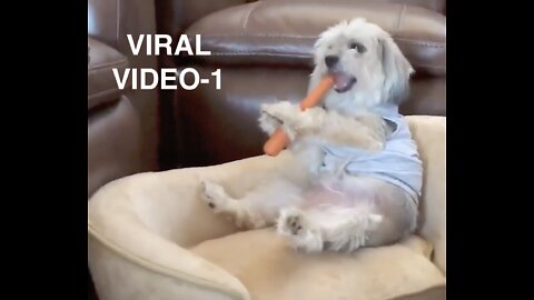 VIRAL VIDEO 1