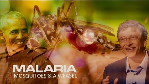 Episode 20: June 28, 2023 THIS IS BIG: Malaria in America