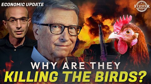 ECONOMY | Why are They Trying to KILL ALL the Birds? What are the Economic Consequences of the Chic