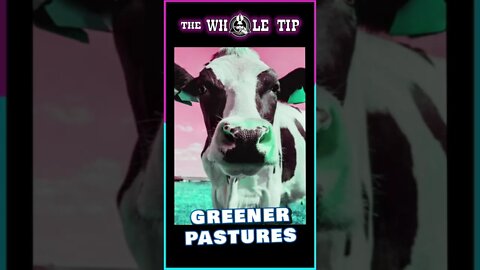 GREEN ACRES - the Whole Tip - metaverse virtual reality vr #shorts #short