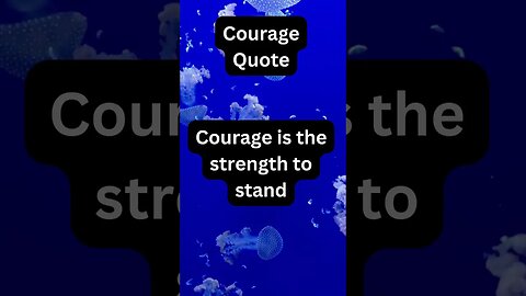 #shorts #67 #wisdom #InspirationalQuotes #Relationships #soulmates #courage