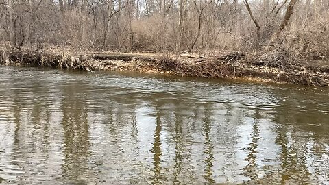 Current state of Menomonee River along the Hoyt Trail