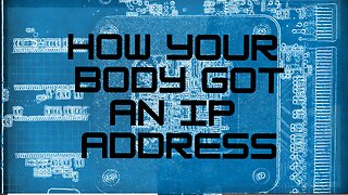 How Your Body Got An IP Address