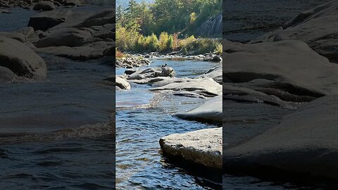 Kancamagus Highway ~ Conway - Lincoln, NH #shorts #whitemountains #foliage