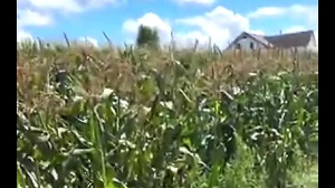 AMERICAN FARMER SAYS HE'S TESTED HIS SOIL, AND IT HAS 5x THE AMOUNT OF ALUMINIUM IT USED TO HAVE 🔥