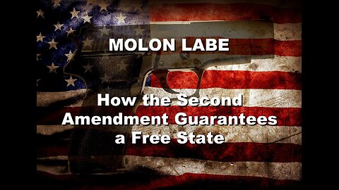 MOLON LABE - How the Second Amendment Guarantees a Free State