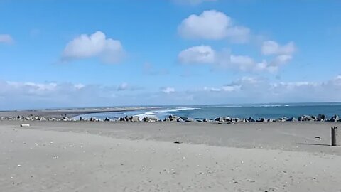 Chilling At The Beach, Washington Coast, Live