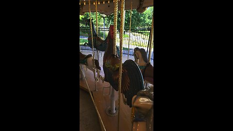 I rode a horse on the carousel but think maybe I should have opted for the chicken