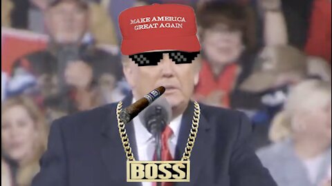 We will never ever surrender: Thug Life Like a Boss style: Trump