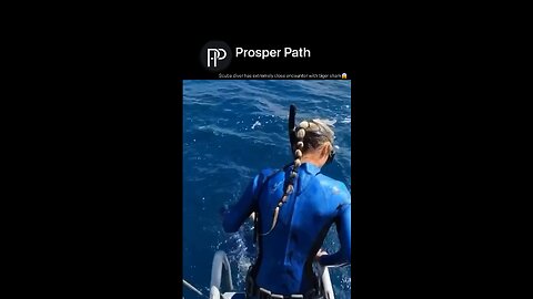 Scuba diver has extremely close encounter with tiger shark