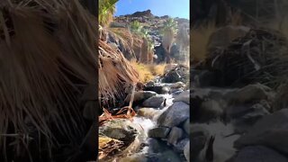 California Hiking Tiktok californian views