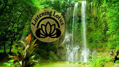 Listening Lotus: Relaxing In The Philippines Near A Beautiful Tropical Waterfall (4-Hour Video)