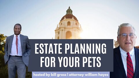 How to Care For Your Pets After You Pass Away | with Attorney William Hayes