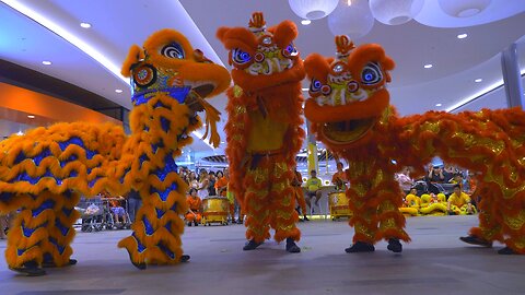 Masterpiece Lion Dance and Dragon Dance Chinese New Year Live Australia