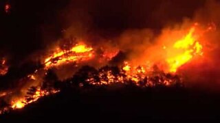 Flames tear through a forest in Italy