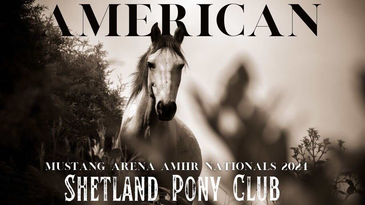 AMHR National Mustang Arena September 10th, 2024