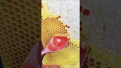 oddly satisfying 🌈 video #oddlysatisfying #oddly #fruitcutting #honey #honeycomb #honeybee