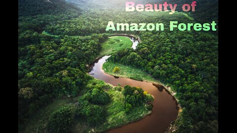 Beautiful #nature of #Amazon_Forest🌳🌳🌳