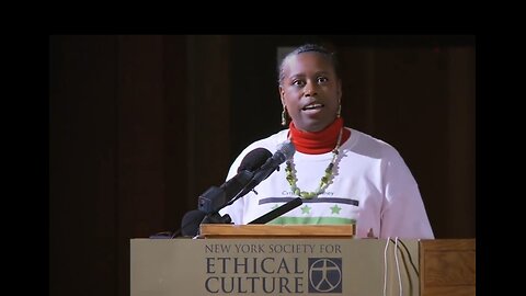 Cynthia McKinney - Palestine, Israel, Boat getting rammed Pt1