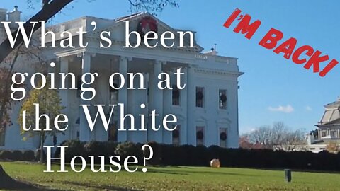 I'm back! What's been going on at the White House while I was away?