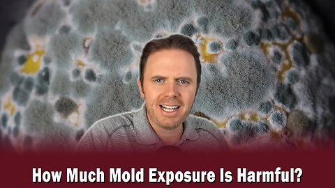 How Much Mold Exposure Is Harmful?