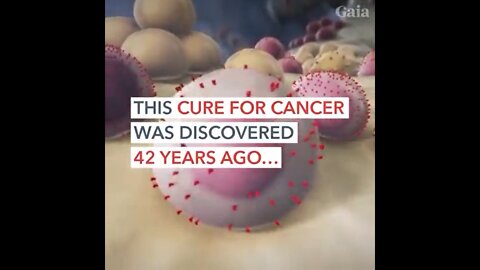 Cancer CURE?!?!?!