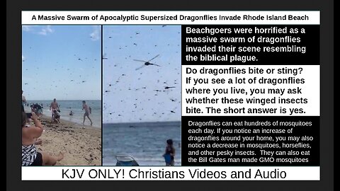 A Massive Swarm of Apocalyptic Supersized Dragonflies Invade Rhode Island Beach