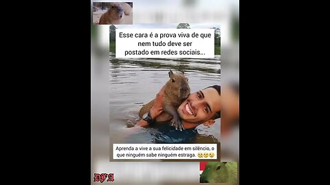 A INVEJA EXISTE #capivara #FILO #luisamell #ibama #lovepets #inveja #mypet