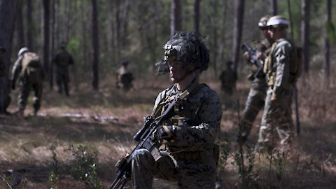 Interview Day n Night | U.S. Marines with V2/8 conduct battalion field exercise