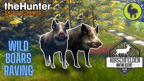 The Hunter: Call of the Wild, Tressler- Wild Boars Raving, Hirschfelden (PS5 4K)