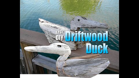 Driftwood Duck Easy DIY Wood working craft