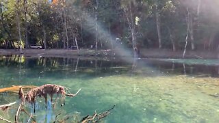 Ozark Hippie Camp Feeding Rainbow Trout