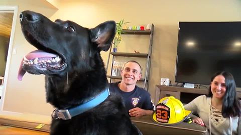 Firefighter adopts dog after 911 call