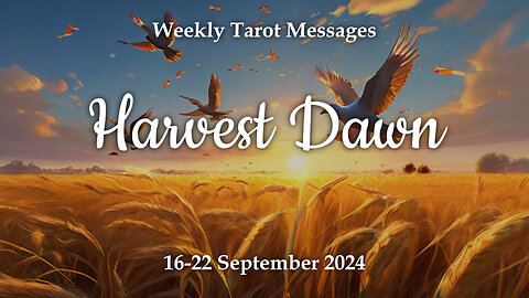 Harvest Dawn - Weekly Tarot Reading