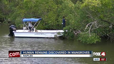 Human remains found along Gordon River in Naples