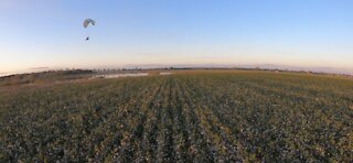 Cotton picking paramotor