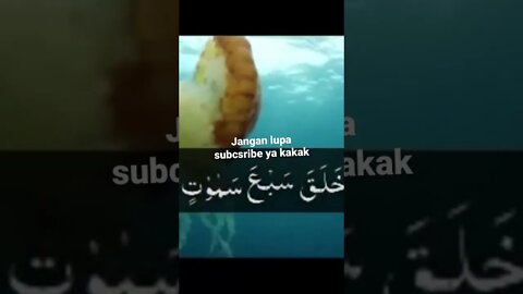 Keutamaan membaca surat Almulk sebelum tidur penolong dialam kubur dapat memberikan syafaat