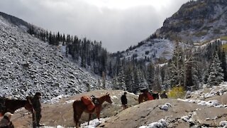 Colorado Elk Hunt 2019