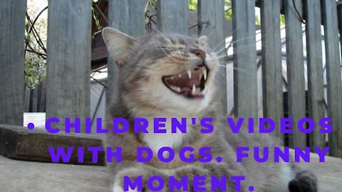 Children's videos with dogs. Funny moment.