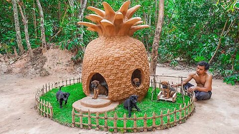 Build Pineapple House for Rescued Puppies - Build Mud Dog House.